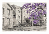Rydalmere Psychiatric Hospital Anniversary Card - Jacaranda