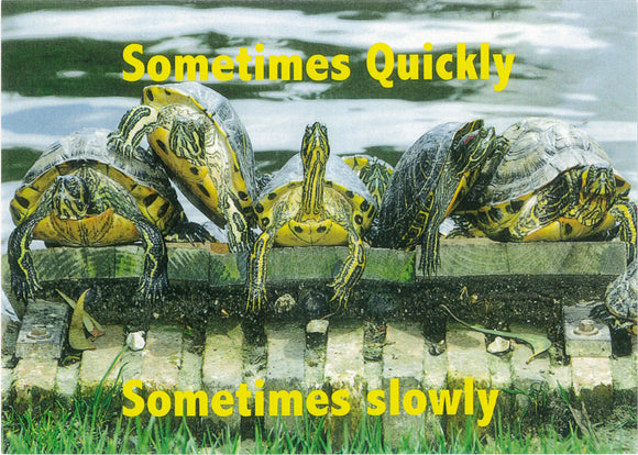 Sometimes Quickly Sometimes Slowly Anniversary Card