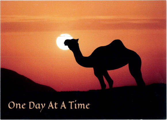 Camel ODAAT Anniversary Card