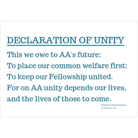 Declaration Of Unity Banner