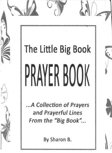 The Little Big Book Prayer Book